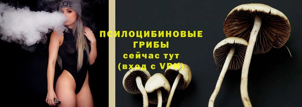 2c-b Алексин